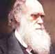 Theory of Evolution  - Charles Darwin