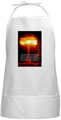 CHEFS / BBQ APRONS.