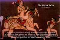 An ingenious person should multiply the kinds of congress after the fashion of the different kinds of beasts and of birds. (Kama Sutra)