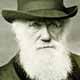 Charles Darwin: Evolution