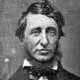 Henry David Thoreau - Walden and Civil Disobedience - If a man does not keep pace with his companions, perhaps it is because he hears a different drummer. Let him step to the music which he hears, however measured or far away.