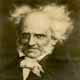 Schopenhauer - let us speak the truth