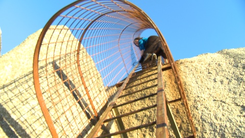 Woman looking down cage