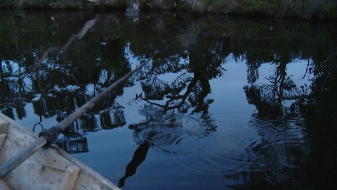 Circular droplets from boat oar
