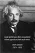 'The ideals which have lighted my way, and time after time have given me new courage to face life cheerfully, have been Kindness, Beauty and Truth.' (Albert Einstein)