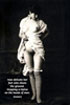 'Analyse any human emotion, no matter how far it may be removed from the sphere of sex, and you are sure to discover somewhere the primal impulse, to which life owes its perpetuation.' (Sigmund Freud)